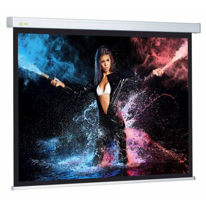 Экран Cactus CS-PSW-168×299 168×299 см, 16:9, настенно-потолочный, рулонный, белый